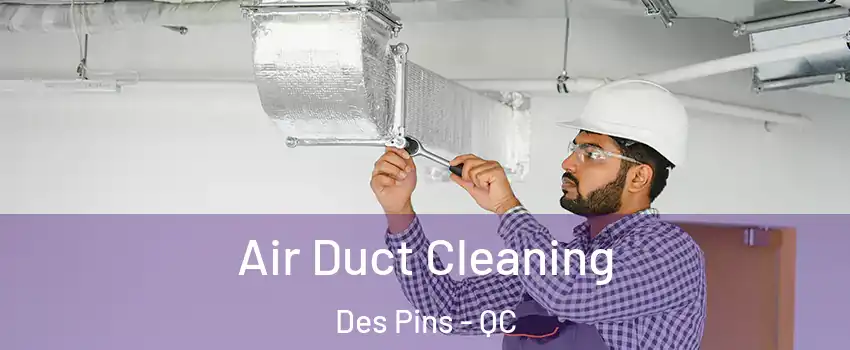  Air Duct Cleaning Des Pins - QC