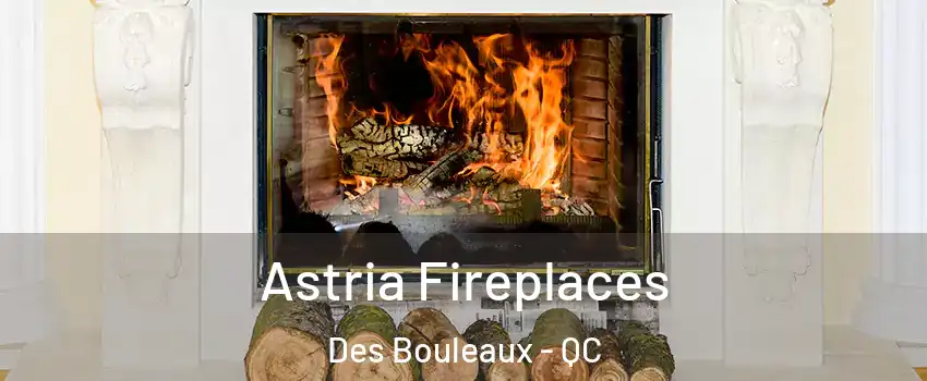  Astria Fireplaces Des Bouleaux - QC