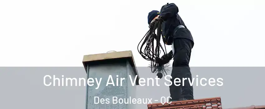  Chimney Air Vent Services Des Bouleaux - QC
