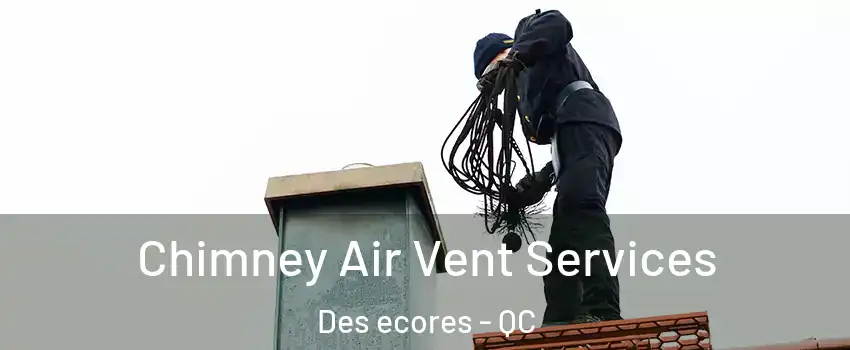  Chimney Air Vent Services Des ecores - QC