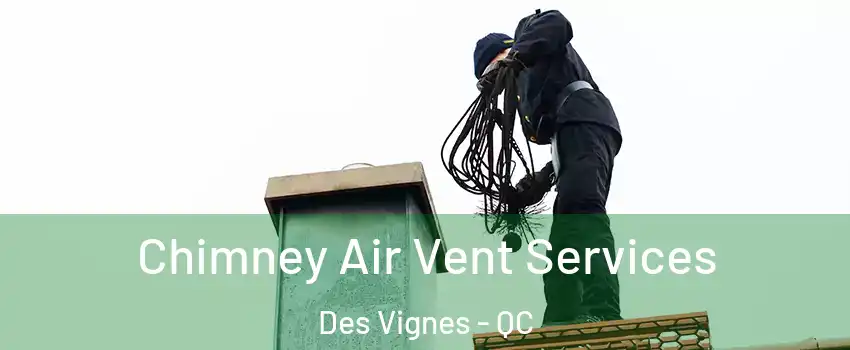  Chimney Air Vent Services Des Vignes - QC