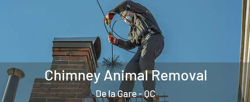 Chimney Animal Removal De la Gare - QC