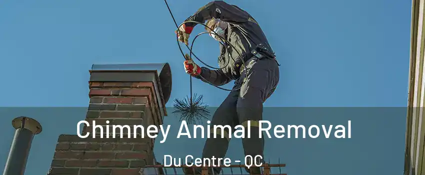 Chimney Animal Removal Du Centre - QC