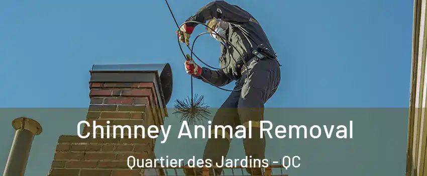 Chimney Animal Removal Quartier des Jardins - QC