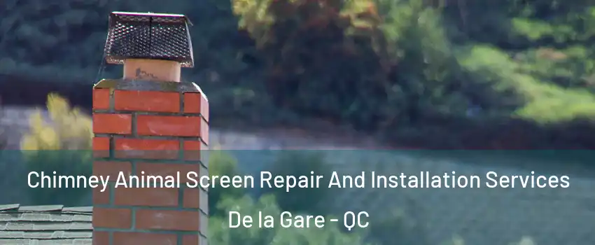  Chimney Animal Screen Repair And Installation Services De la Gare - QC