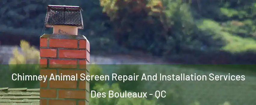  Chimney Animal Screen Repair And Installation Services Des Bouleaux - QC