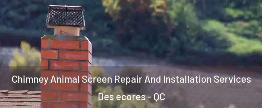  Chimney Animal Screen Repair And Installation Services Des ecores - QC