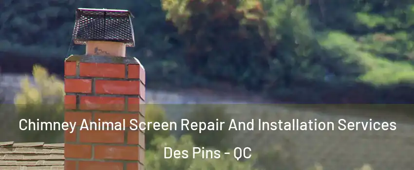  Chimney Animal Screen Repair And Installation Services Des Pins - QC