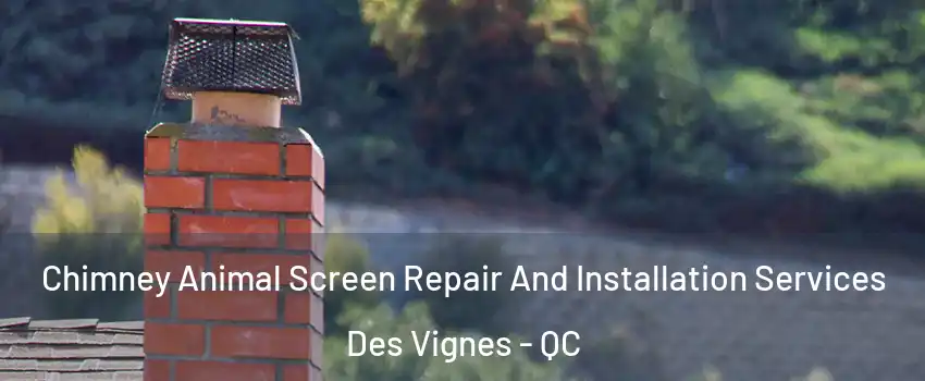  Chimney Animal Screen Repair And Installation Services Des Vignes - QC