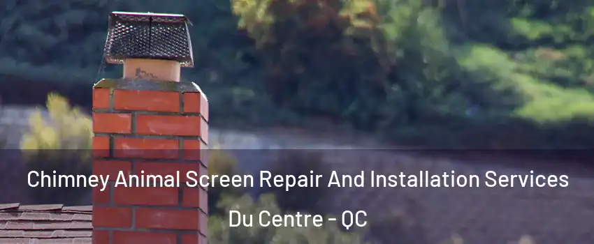  Chimney Animal Screen Repair And Installation Services Du Centre - QC