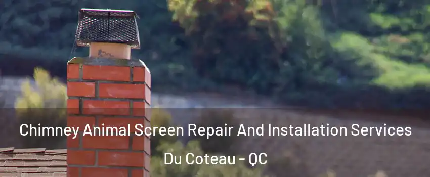  Chimney Animal Screen Repair And Installation Services Du Coteau - QC