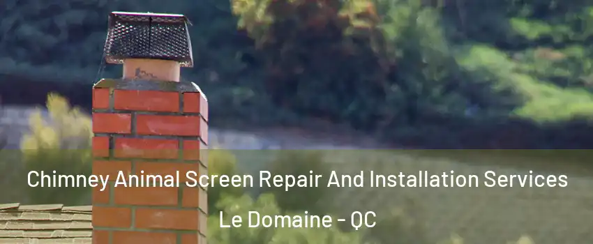  Chimney Animal Screen Repair And Installation Services Le Domaine - QC