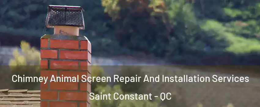  Chimney Animal Screen Repair And Installation Services Saint Constant - QC