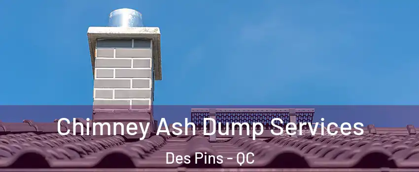  Chimney Ash Dump Services Des Pins - QC