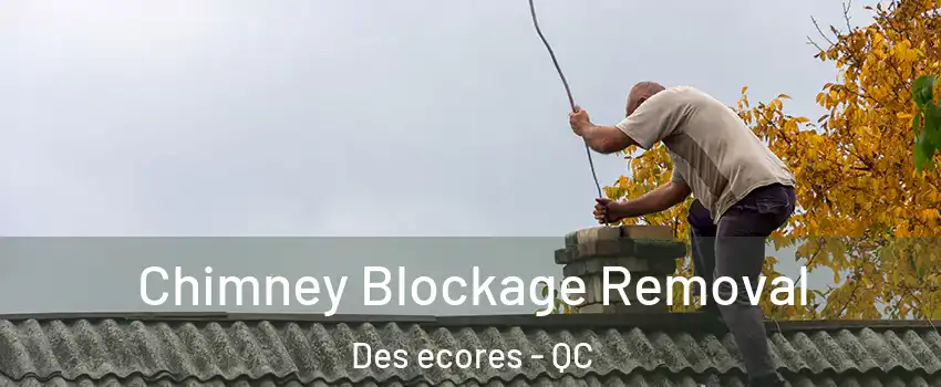  Chimney Blockage Removal Des ecores - QC