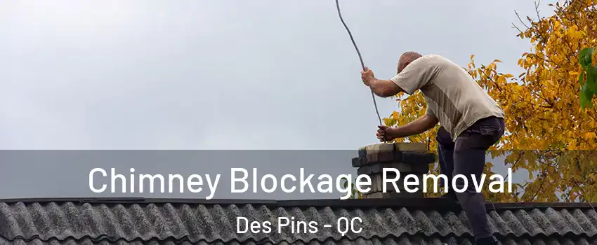  Chimney Blockage Removal Des Pins - QC