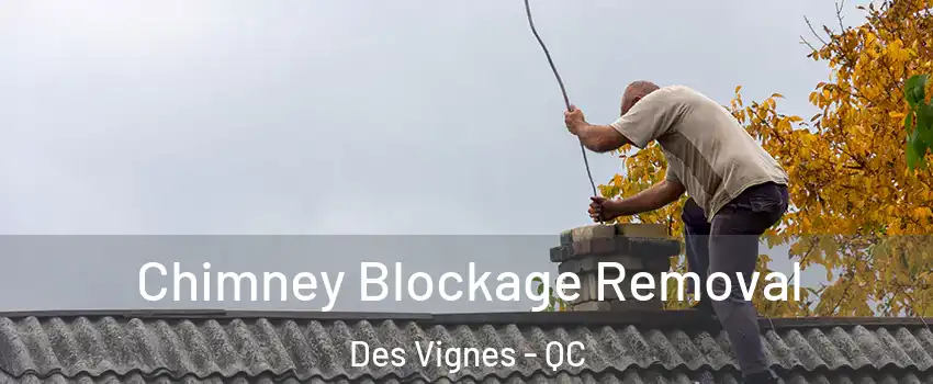  Chimney Blockage Removal Des Vignes - QC
