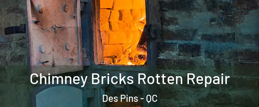  Chimney Bricks Rotten Repair Des Pins - QC