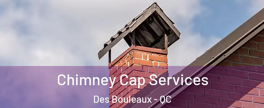  Chimney Cap Services Des Bouleaux - QC
