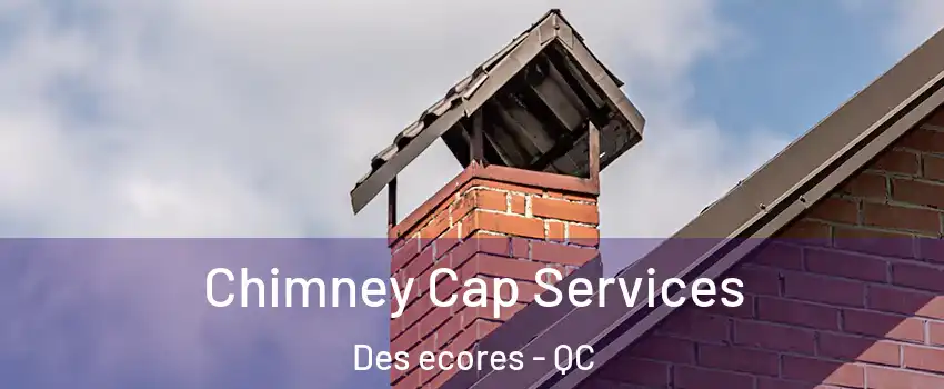 Chimney Cap Services Des ecores - QC