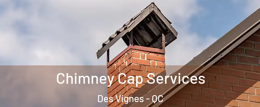  Chimney Cap Services Des Vignes - QC