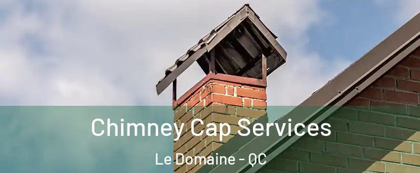  Chimney Cap Services Le Domaine - QC