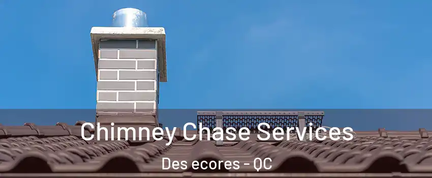  Chimney Chase Services Des ecores - QC