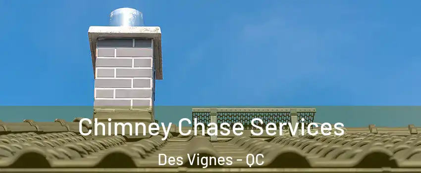  Chimney Chase Services Des Vignes - QC