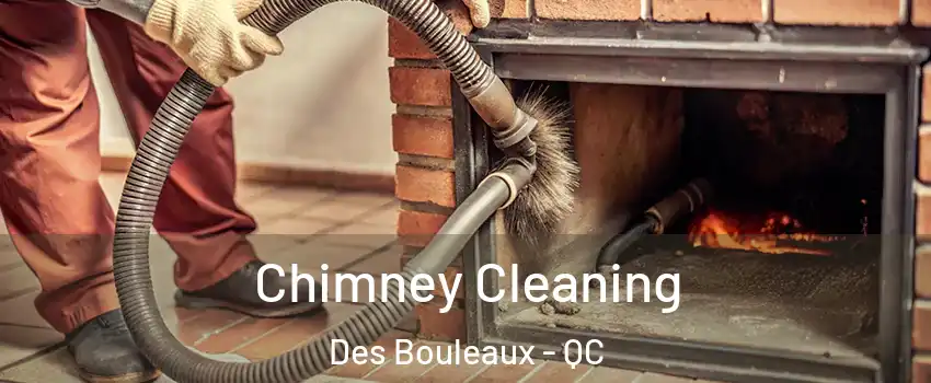  Chimney Cleaning Des Bouleaux - QC