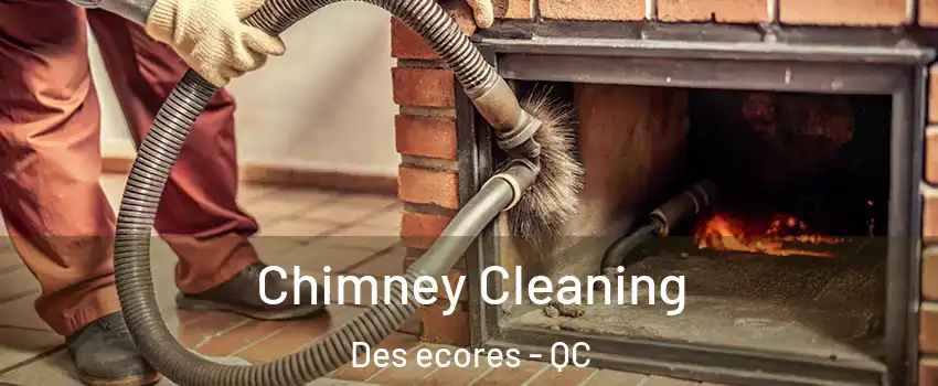  Chimney Cleaning Des ecores - QC