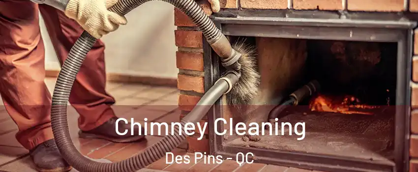  Chimney Cleaning Des Pins - QC
