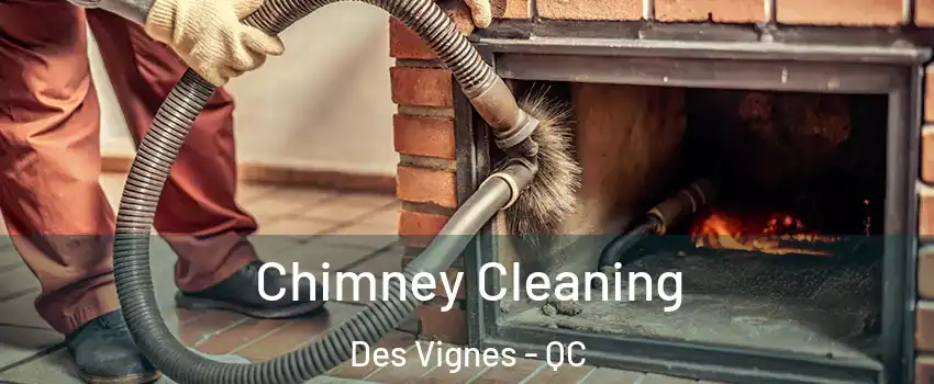  Chimney Cleaning Des Vignes - QC