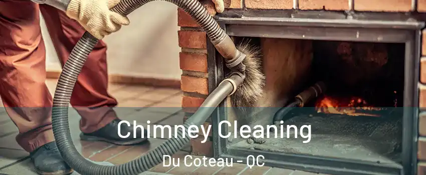  Chimney Cleaning Du Coteau - QC