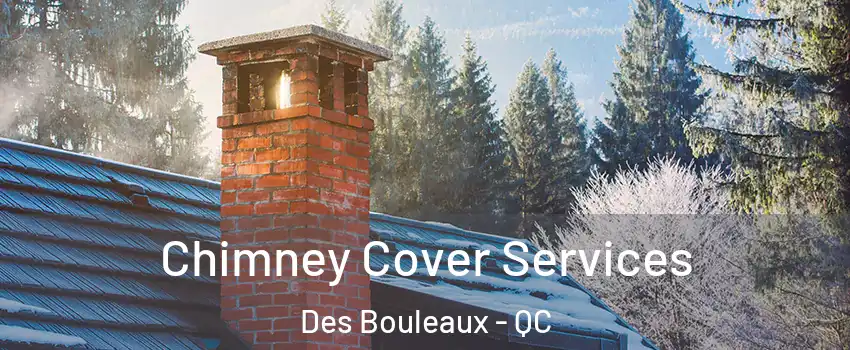  Chimney Cover Services Des Bouleaux - QC