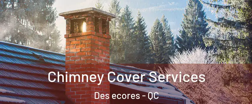  Chimney Cover Services Des ecores - QC