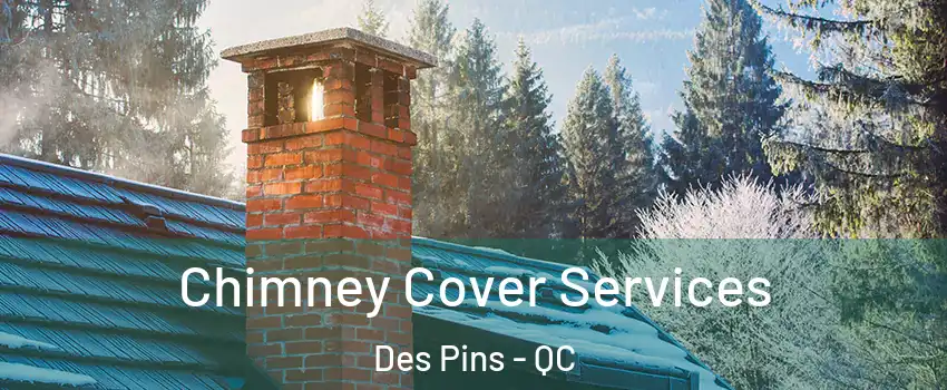  Chimney Cover Services Des Pins - QC