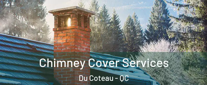  Chimney Cover Services Du Coteau - QC