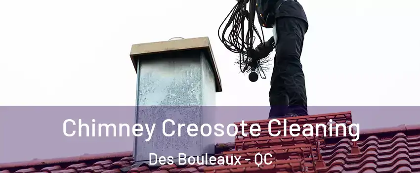  Chimney Creosote Cleaning Des Bouleaux - QC
