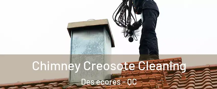  Chimney Creosote Cleaning Des ecores - QC