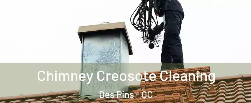  Chimney Creosote Cleaning Des Pins - QC