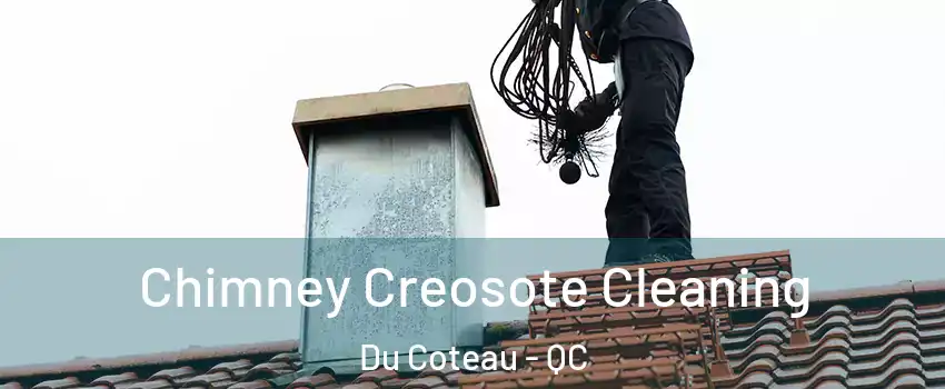  Chimney Creosote Cleaning Du Coteau - QC