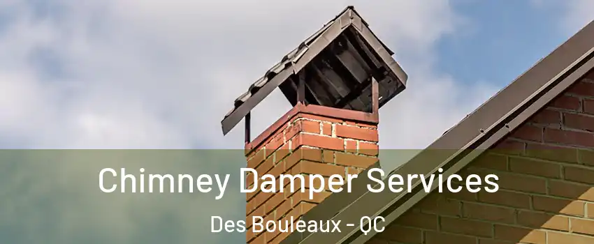  Chimney Damper Services Des Bouleaux - QC