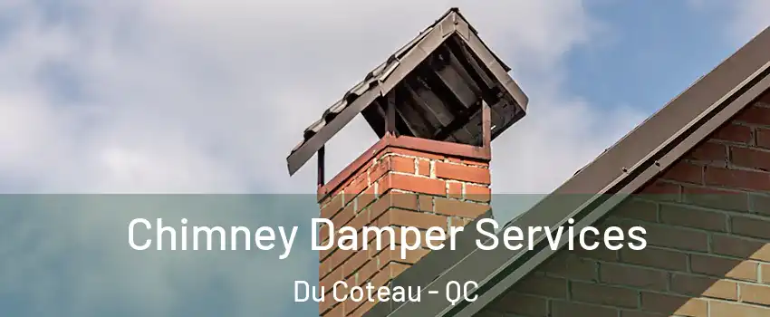  Chimney Damper Services Du Coteau - QC
