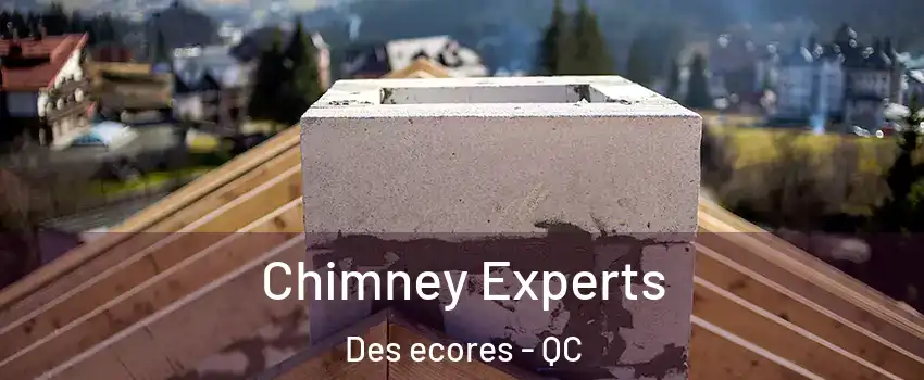 Chimney Experts Des ecores - QC
