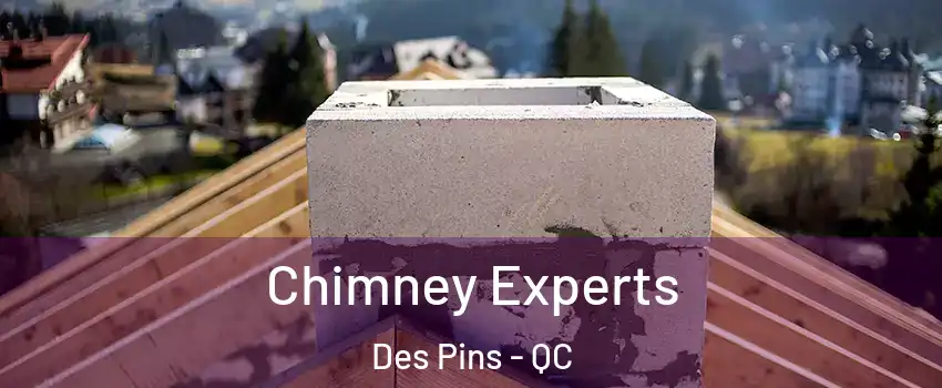 Chimney Experts Des Pins - QC
