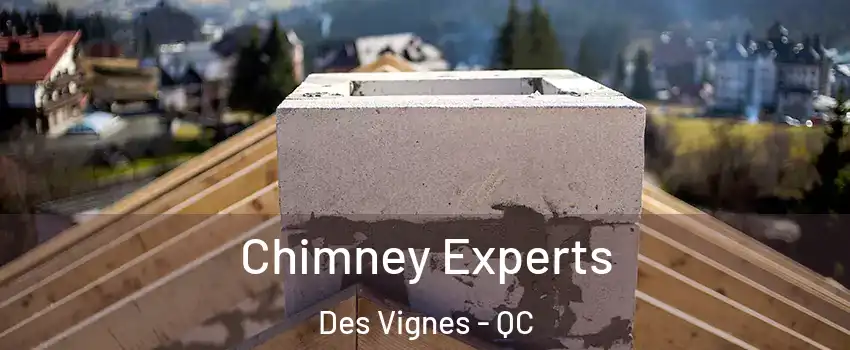 Chimney Experts Des Vignes - QC