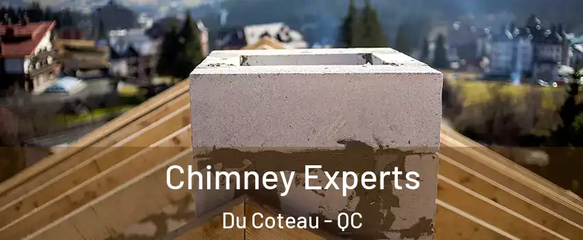 Chimney Experts Du Coteau - QC