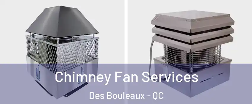  Chimney Fan Services Des Bouleaux - QC