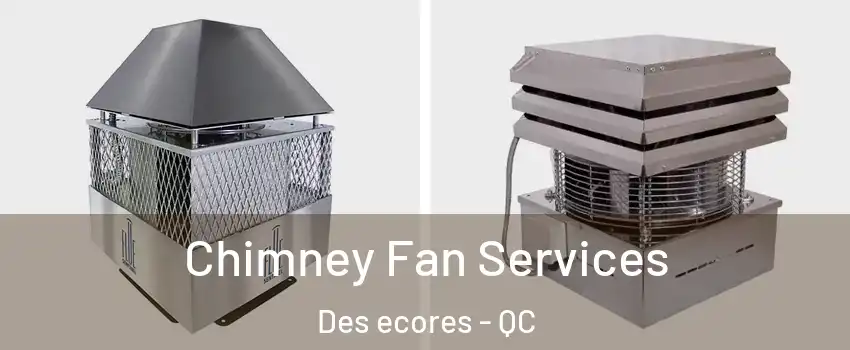  Chimney Fan Services Des ecores - QC