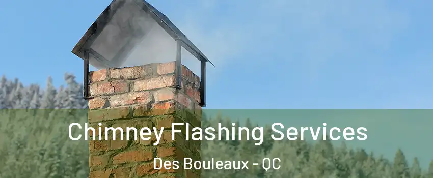 Chimney Flashing Services Des Bouleaux - QC
